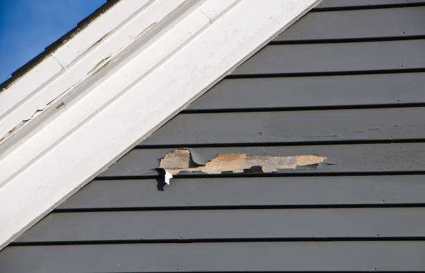 Best Residential Vinyl Siding Installation  in Hammond, LA