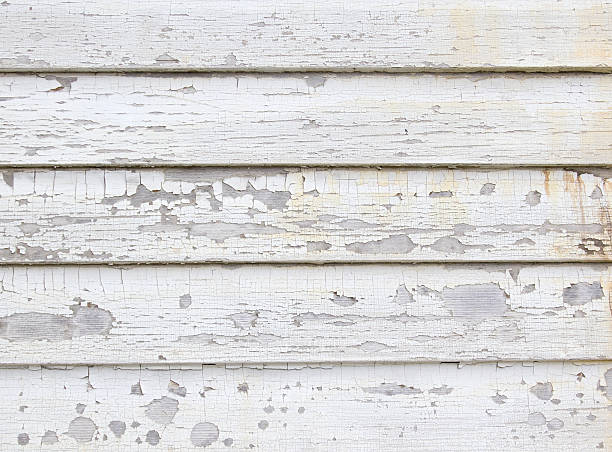 Best Historical Building Siding Restoration  in Hammond, LA