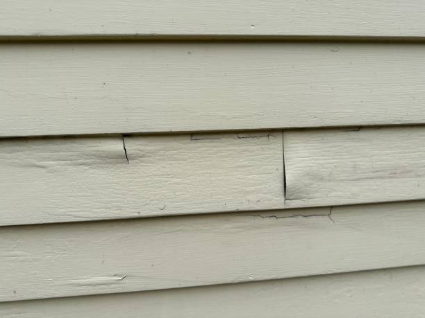 Best Composite Siding  in Hammond, LA